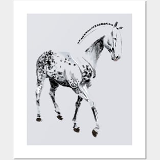 gray horse Posters and Art